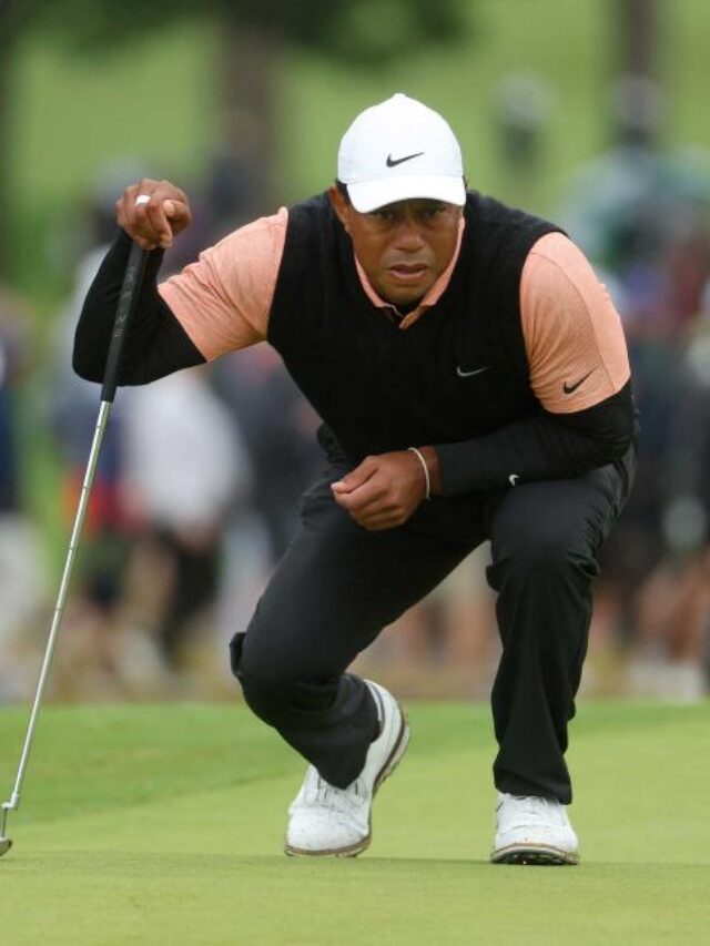 Tiger Woods b