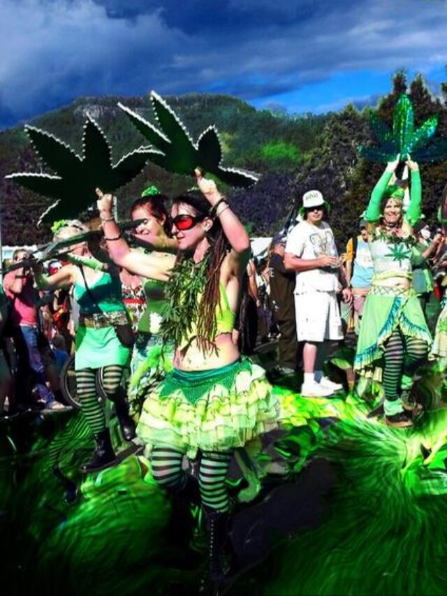 Cannabis Festival
